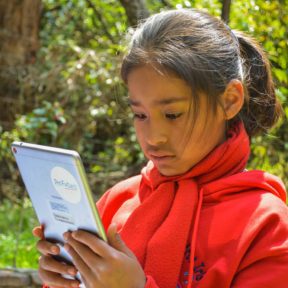 Recursos educativos digitales para que escolares y profesores sigan formándose sin salir de casa