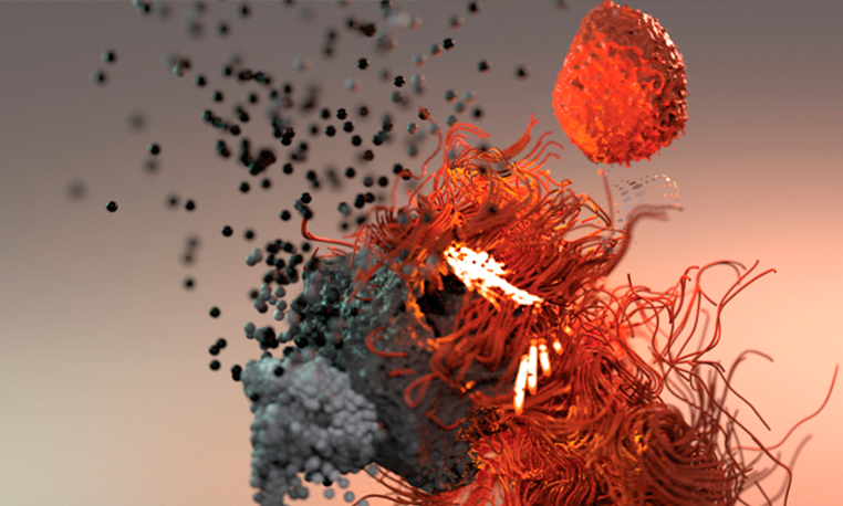 Render: Hibridaciones animadas