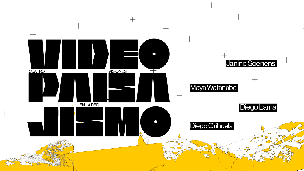 VIDEOPAISAJISMO. Cuatro visiones en la red