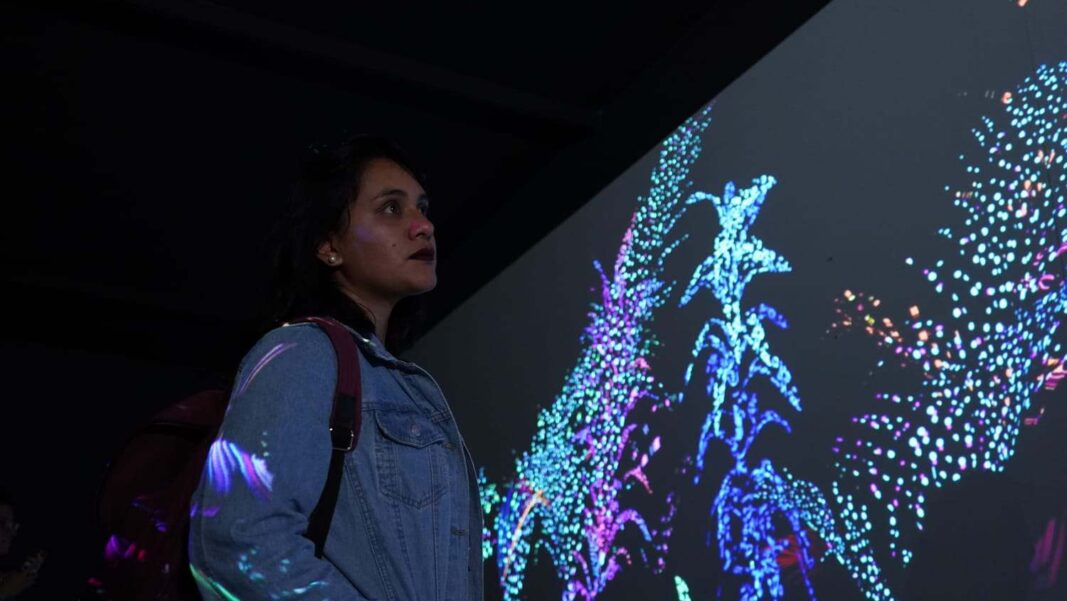 Fundación Telefónica Movistar y Museo de Arte Contemporáneo presentan 